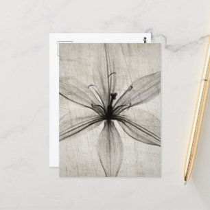 Single Vintage X-Ray Flower Briefkaart