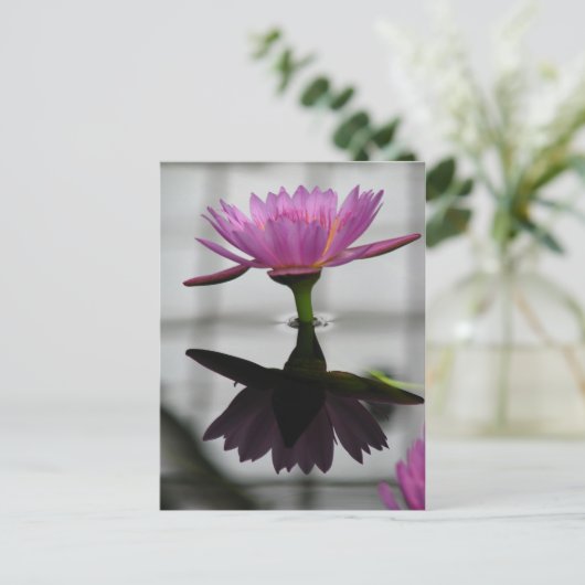 Single Water Lily Post Card Briefkaart (Staand voorkant)
