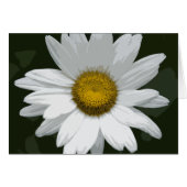 Single White Daisy (Voorkant Horizontaal)