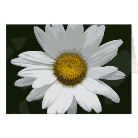 Single White Daisy (Voorkant Horizontaal)