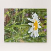 Single White Daisy Bloemen Close-up Foto Legpuzzel (Horizontaal)