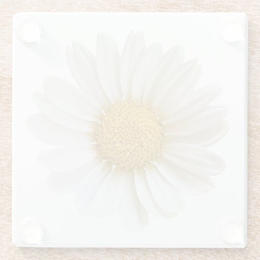 Single White Daisy Glass Onderzetter (Achterkant)