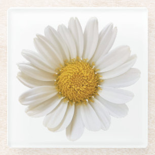 Single White Daisy Glass Onderzetter Glazen Onderzetter