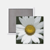 Single White Daisy Magneet (Voorkant / Achterkant)