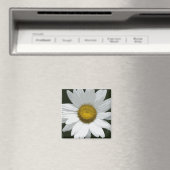Single White Daisy Magneet (Insitu (Vaatwasser))