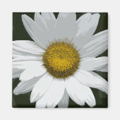 Single White Daisy Magneet (Voorkant)