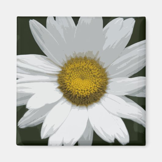 Single White Daisy Magneet (Voorkant)