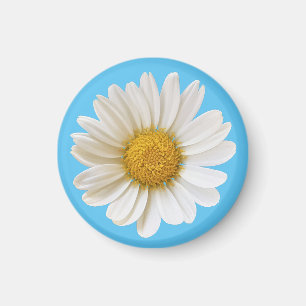 Single White Daisy on Sky Blue Magneet