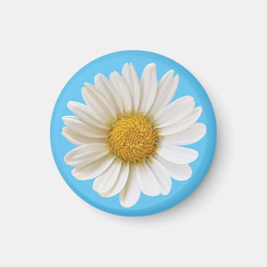 Single White Daisy on Sky Blue Magneet (Voorkant)