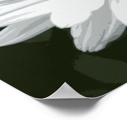 Single White Daisy Poster (Hoek)