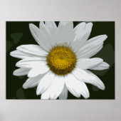 Single White Daisy Poster (Voorkant)