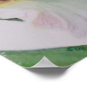 Single White Iris Poster (Hoek)