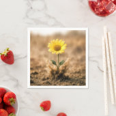 Single Yellow Daisy Bursting Out of Dirt Servet (Insitu)
