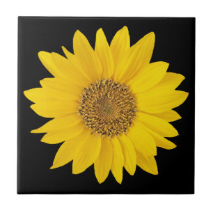 Single Yellow Sunflower op Black Ceramic Tile Tegeltje