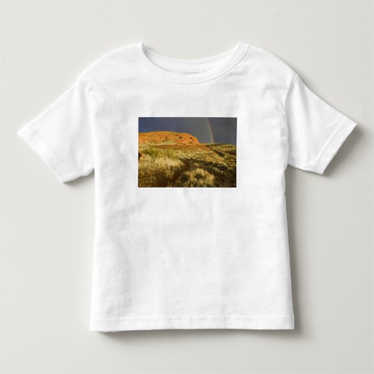 Singletrack bij Red Cliffs Desert Preserve nabij Kinder Shirts (Voorkant)