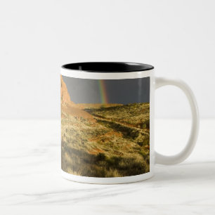 Singletrack bij Red Cliffs Desert Preserve nabij Tweekleurige Koffiemok