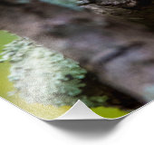 Sinister Squirrel 24 x 20 Kodak Pro-fotopapier Foto Afdruk (Hoek)