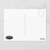 Sinister Sunset Briefkaart (Achterkant)