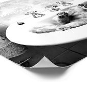 sink_cats_12 katten kitten dieren schattige dichth poster (Hoek)