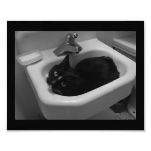 Sink Fun Foto Afdruk