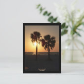 Sinking Sun aan Clearwater Beach, Florida Briefkaart (Staand voorkant)