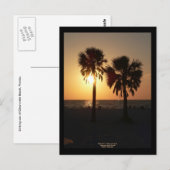 Sinking Sun aan Clearwater Beach, Florida Briefkaart (Voorkant / Achterkant)