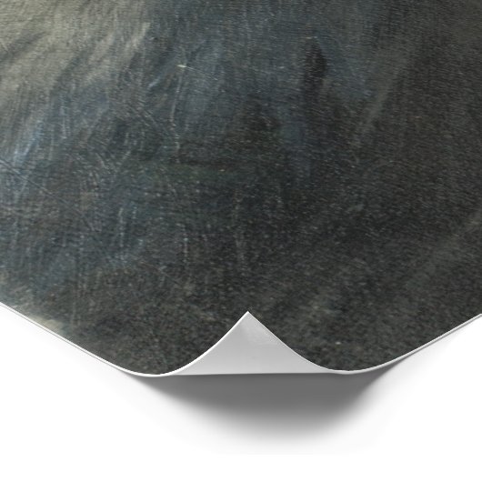 Sinornithosaurus Print (Hoek)