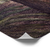 Sinosauropteryx Afdrukken Poster (Hoek)