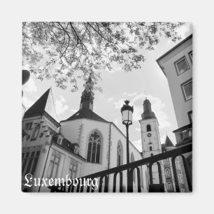 Sint Alphonse kerk in Luxemburg reis Magneet