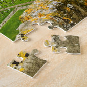 Sint-Andrews Scotland Cathedral Tower City skyline Legpuzzel (Zijkant)