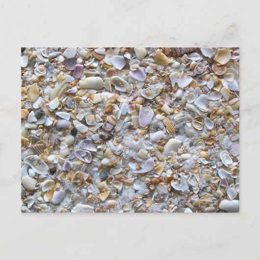 Sint Augustinus Beach Sand Tiny Shells Briefkaart (Voorkant)