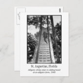 Sint-Augustinusretro-alligator Briefkaart (Voorkant / Achterkant)