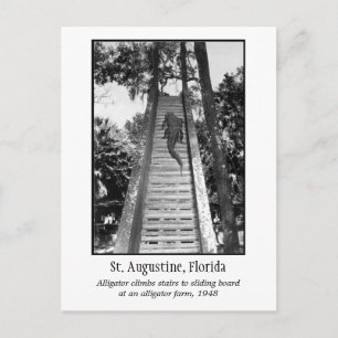 Sint-Augustinusretro-alligator Briefkaart