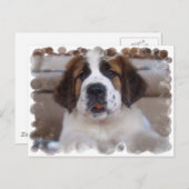 Sint Bernard Briefkaart (Voorkant / Achterkant)