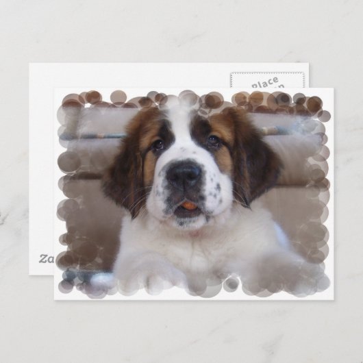 Sint Bernard Briefkaart (Voorkant / Achterkant)