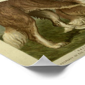  Sint Bernard Dogs Illustratie Poster (Hoek)