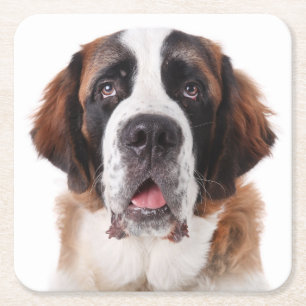 Sint-Bernard Geschenk Puppy Hond Liefhebber St Ber Kartonnen Onderzetters