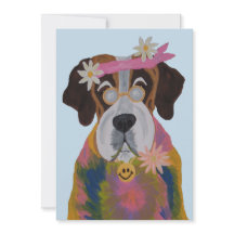 Sint Bernard Hippie