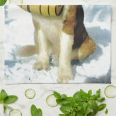 Sint-Bernard-hond, bergredding Theedoek (Gevouwen)