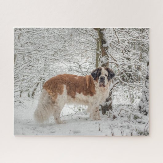 Sint-Bernard-hond in de sneeuw Legpuzzel (Horizontaal)