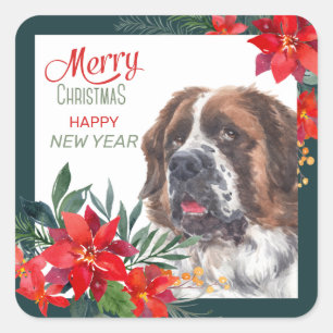 Sint Bernard Hond Poinsettia Grens Kerstmis Vierkante Sticker