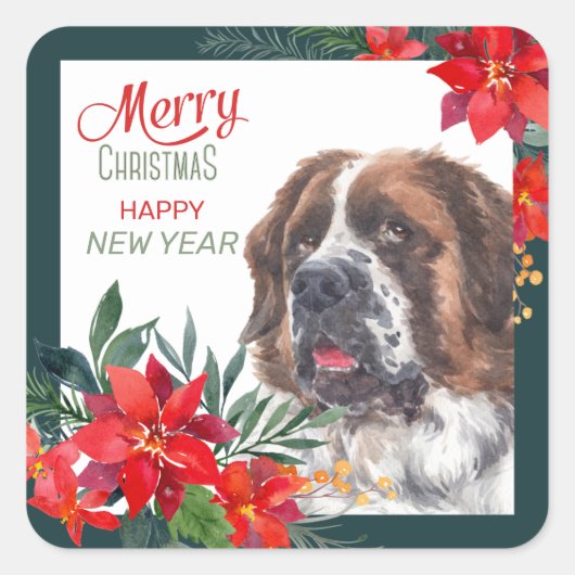Sint Bernard Hond Poinsettia Grens Kerstmis Vierkante Sticker (Voorkant)