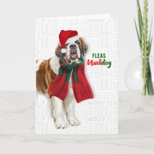 Sint Bernard Honden Grappige Vlooien Navidog Kerst Feestdagen Kaart