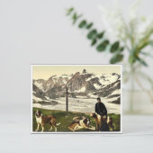 Sint-Bernard-honden, Valais, Alpen, Zwitserse kla Briefkaart (Staand voorkant)