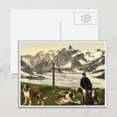 Sint-Bernard-honden, Valais, Alpen, Zwitserse kla Briefkaart (Voorkant / Achterkant)