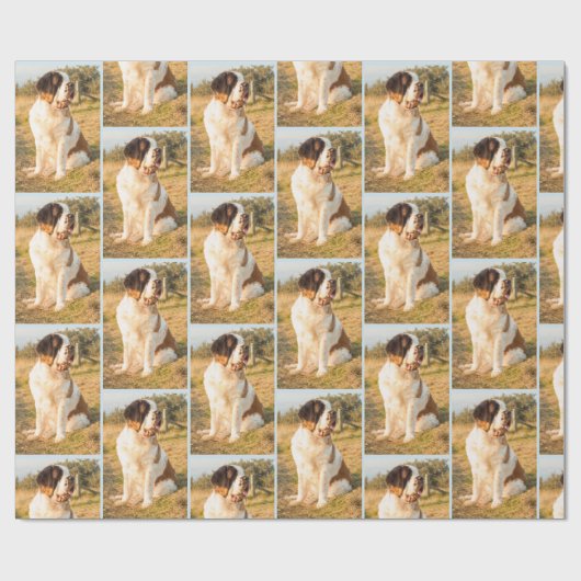 Sint-Bernard-hondenafval Cadeaupapier (Vlak)