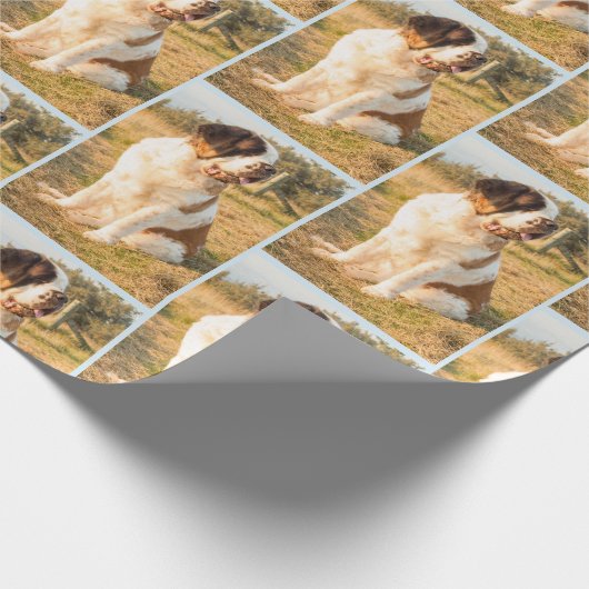 Sint-Bernard-hondenafval Cadeaupapier (Hoek)