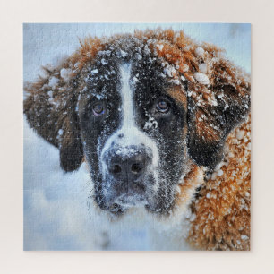 Sint-Bernard in de sneeuw Legpuzzel