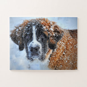 Sint-Bernard in de sneeuw Legpuzzel