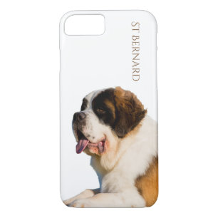 Sint Bernard iPhone Case